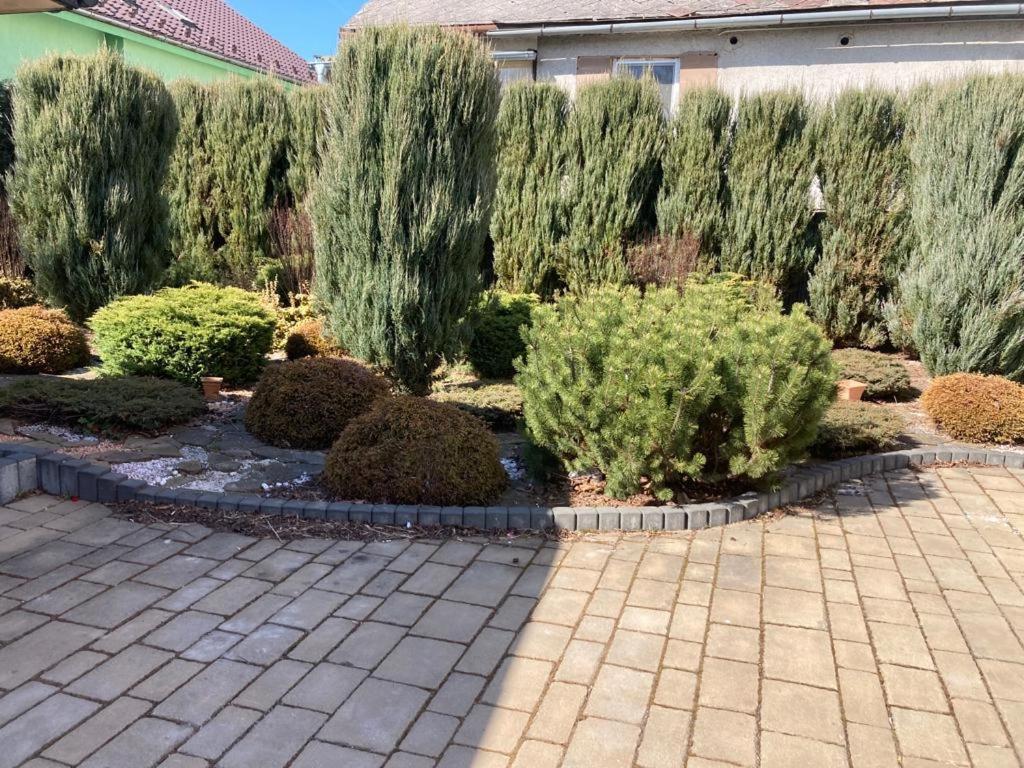 Apartmany Sabinovska Prešov Dış mekan fotoğraf
